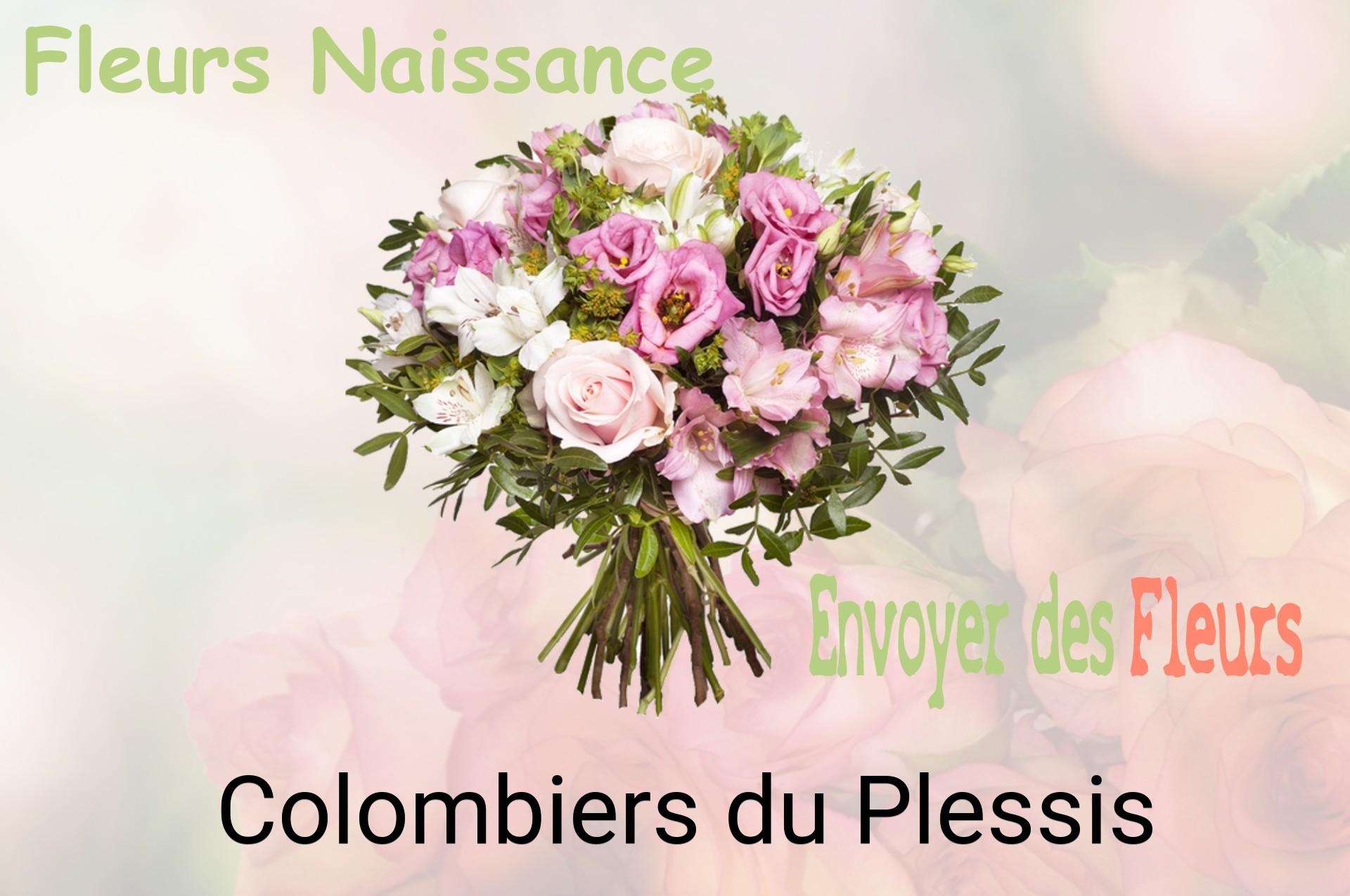Bouquet de fleurs de naissance livré à Colombiers-du-Plessis