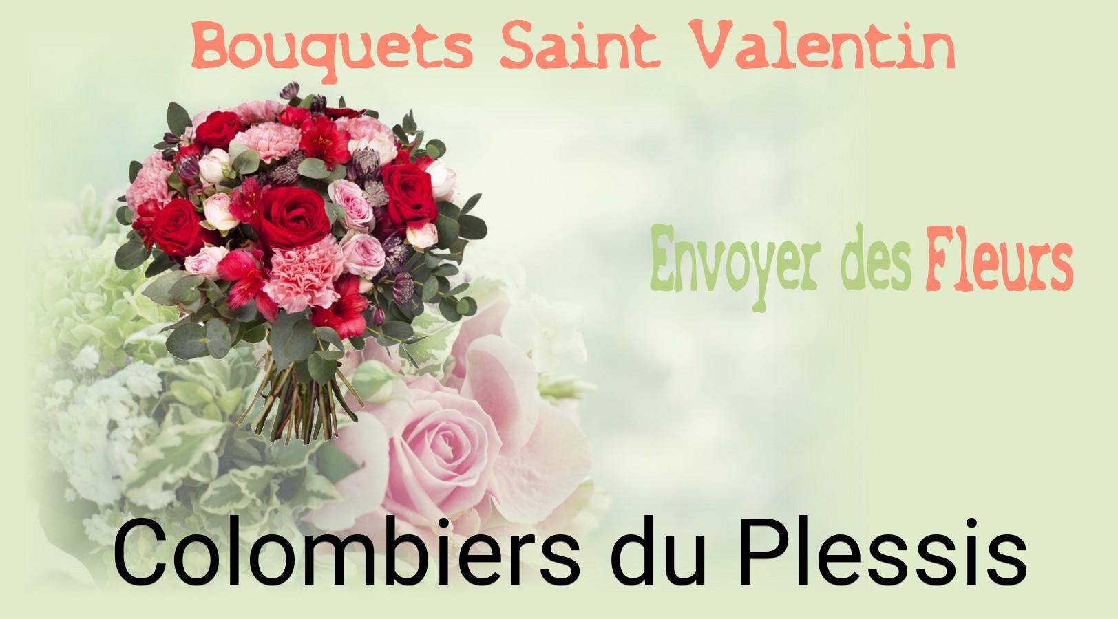 Roses de Saint-Valentin livrées à Colombiers-du-Plessis