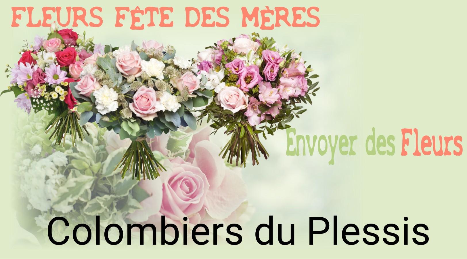 Bouquet de Fête des Mères livré à Colombiers-du-Plessis