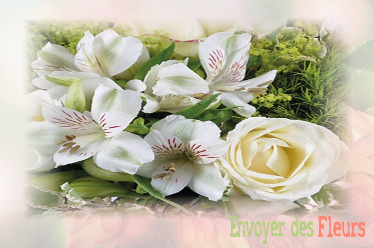 envoyer des fleurs à à COLOMBIERS-DU-PLESSIS